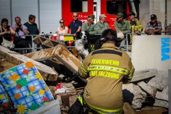 20150913 150 Jahr Feier FFS Übungen (27)