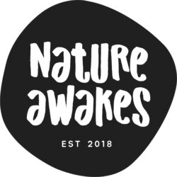 Nature awakes